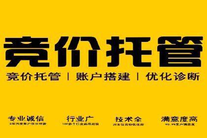 SEM公司案例研究：数据驱动营销策略